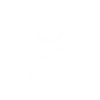 Skyn Eventz Logo wh